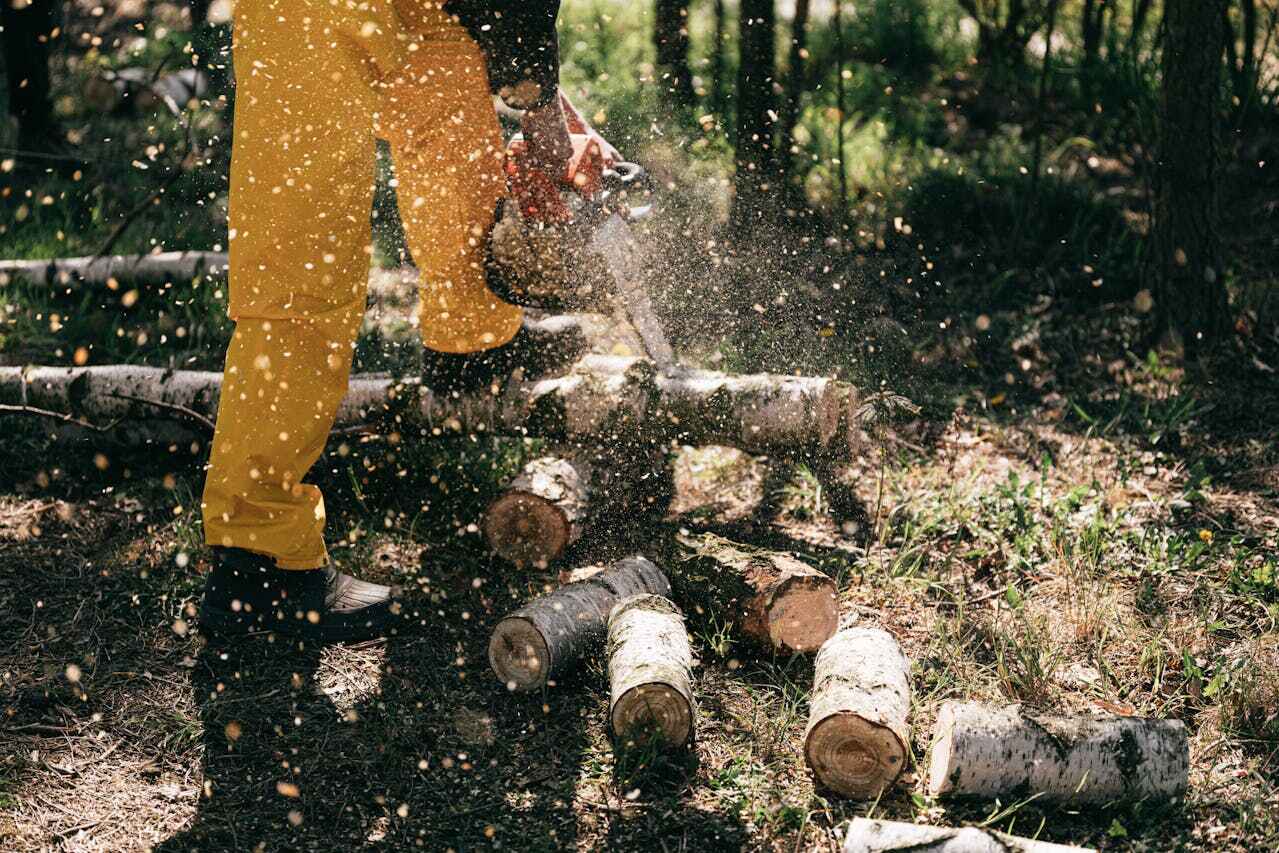 Tree Removal for Businesses in El Dorado Springs, MO